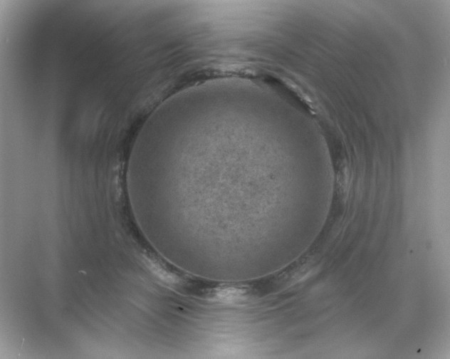 X0000071800462200607072056