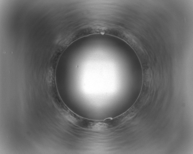 X0000071800463200607072056