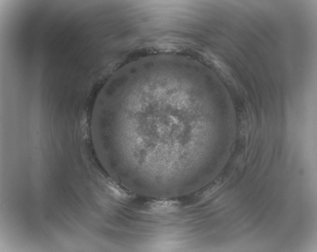 X0000071800465200607072056