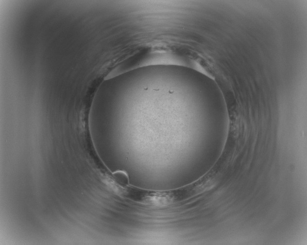 X0000071800466200607072056