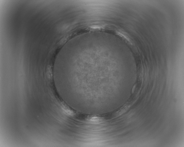 X0000071800467200607072056