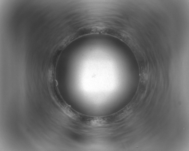 X0000071800468200607072056