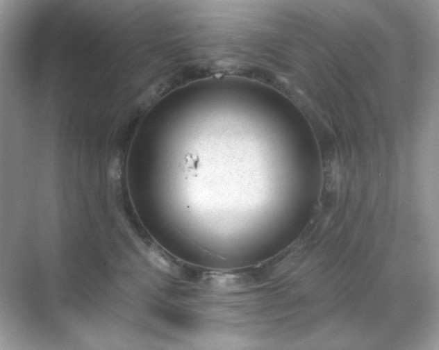 X0000071800472200607072056