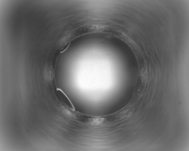 X0000071800474200607072056