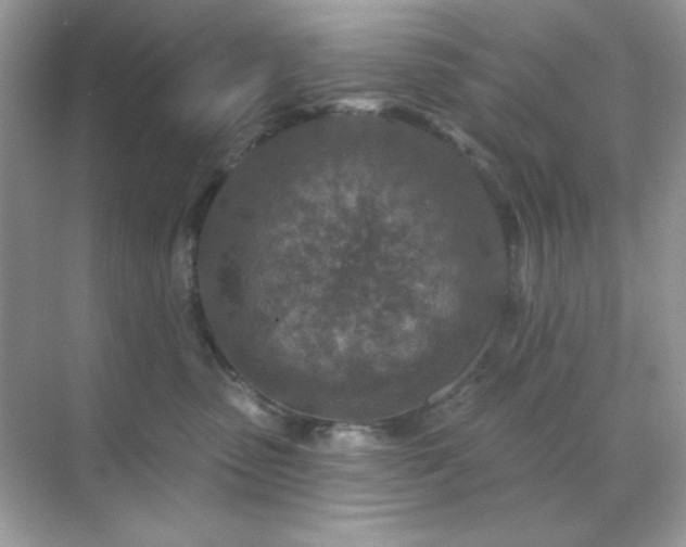 X0000071800475200607072056