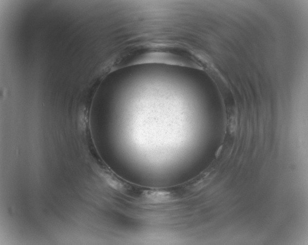 X0000071800476200607072056