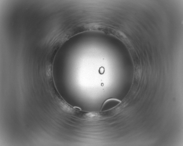 X0000071800477200607072056