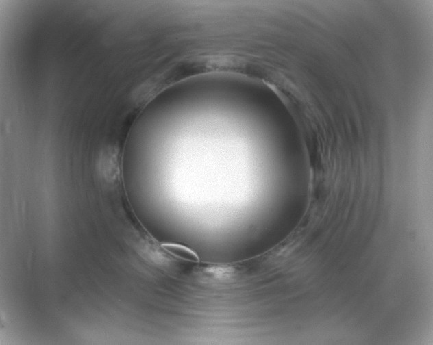 X0000071800478200607072056