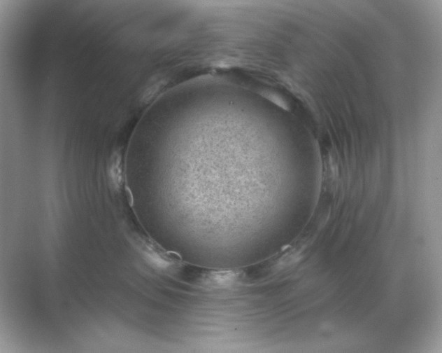 X0000071800479200607072056