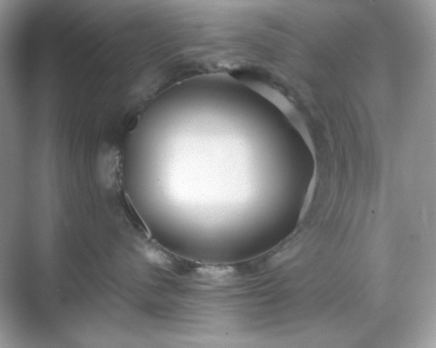 X0000071800480200607072056