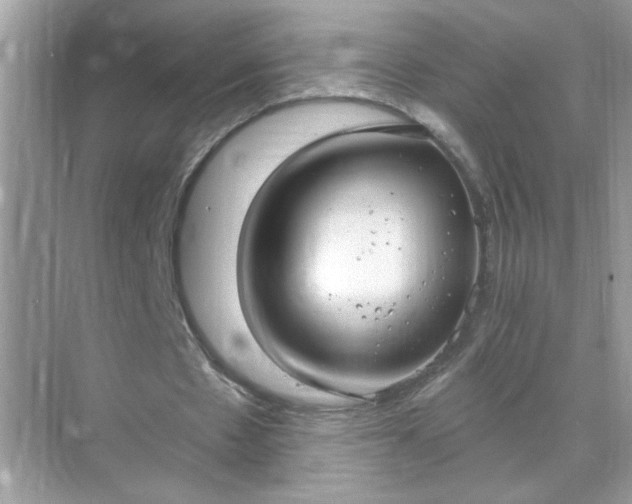 X0000071800481200607072055