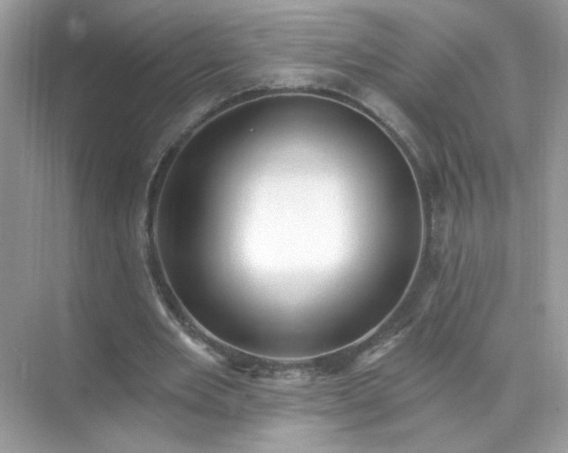 X0000071800485200607072055