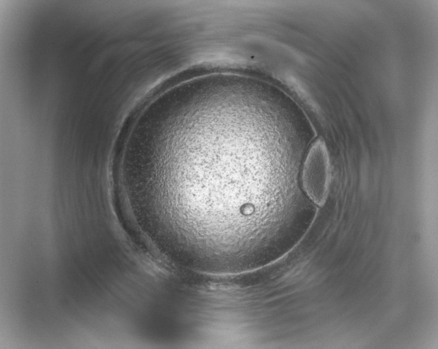 X0000071800487200607072055