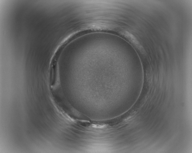 X0000071800488200607072055