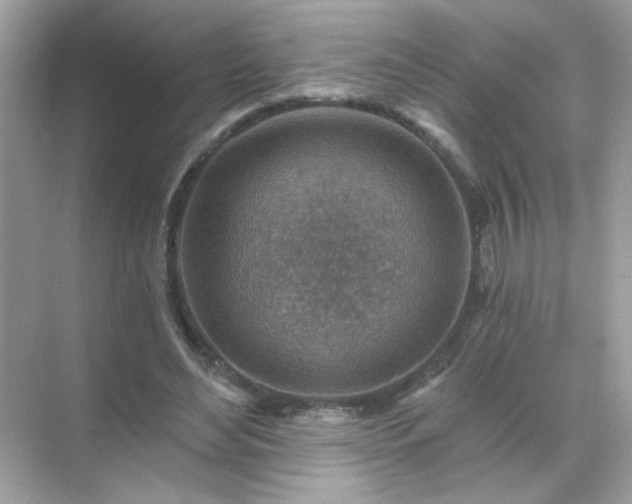 X0000071800492200607072055