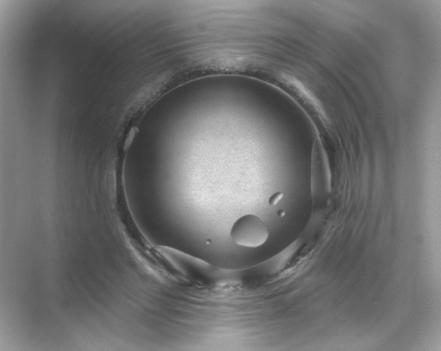 X0000071800493200607072055