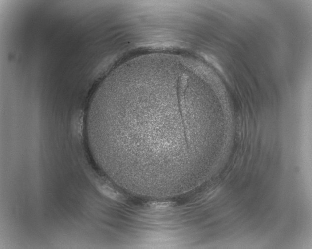 X0000071800495200607072055