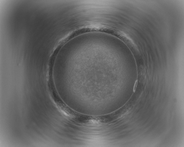 X0000071800496200607072055