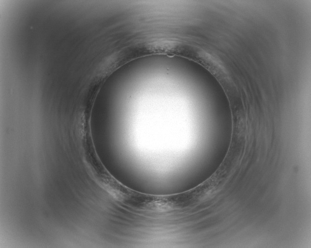 X0000071800498200607072055