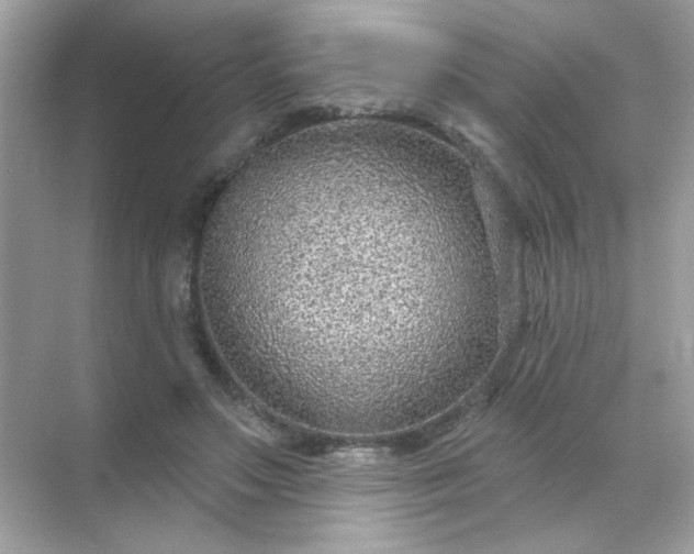 X0000071800499200607072055