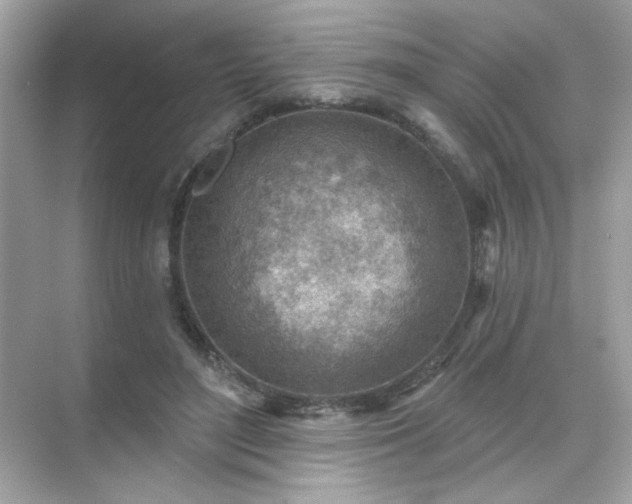 X0000071800500200607072055