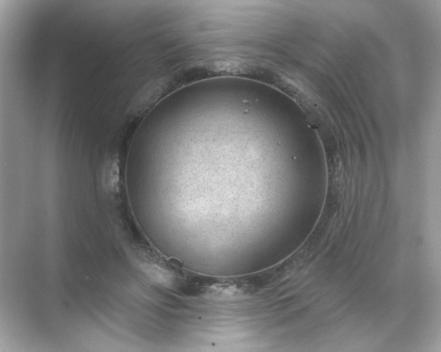 X0000071800502200607072055