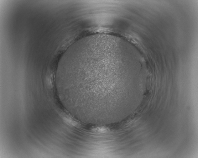 X0000071800503200607072055