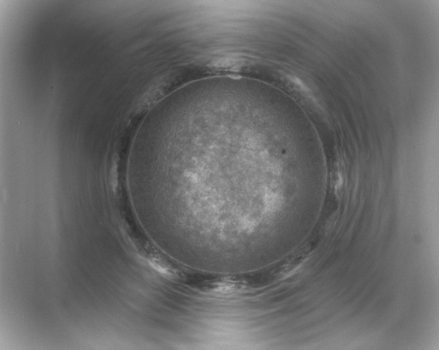 X0000071800504200607072055