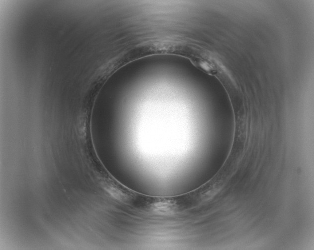 X0000071800505200607072055