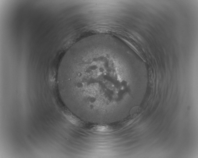 X0000071800507200607072055