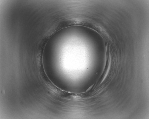 X0000071800509200607072055