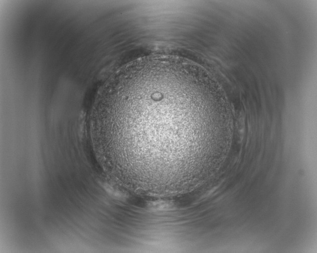 X0000071800511200607072055