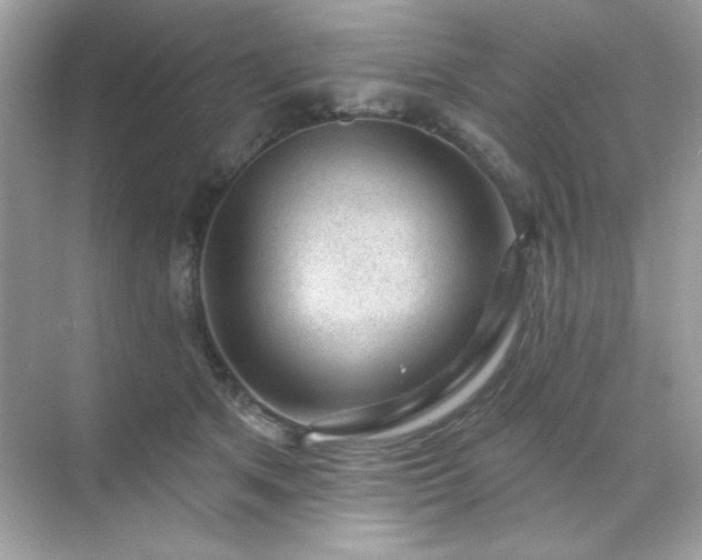 X0000071800513200607072055