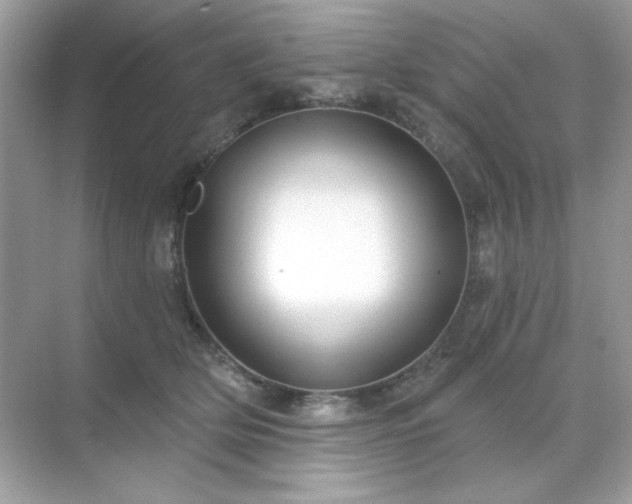 X0000071800514200607072055