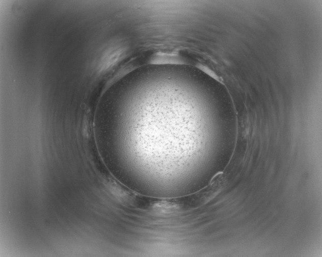 X0000071800515200607072055