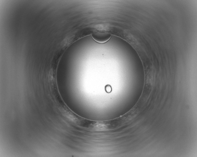 X0000071800518200607072055