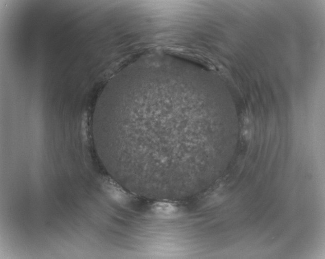 X0000071800519200607072055