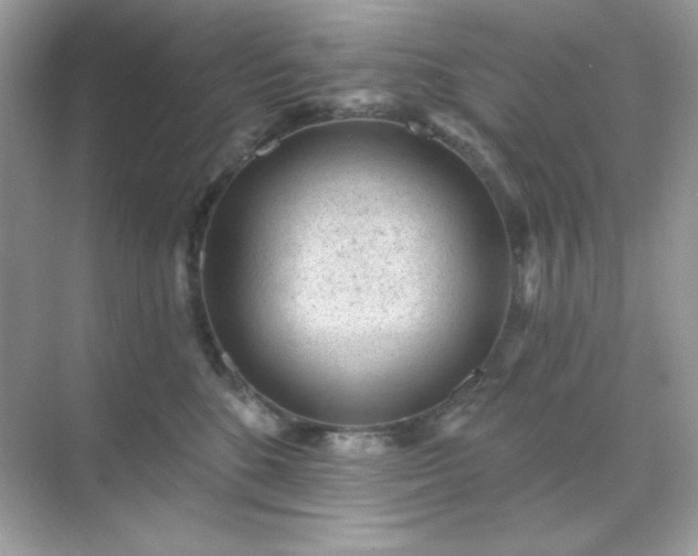 X0000071800520200607072055