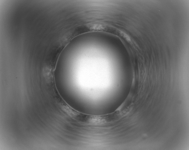 X0000071800521200607072055