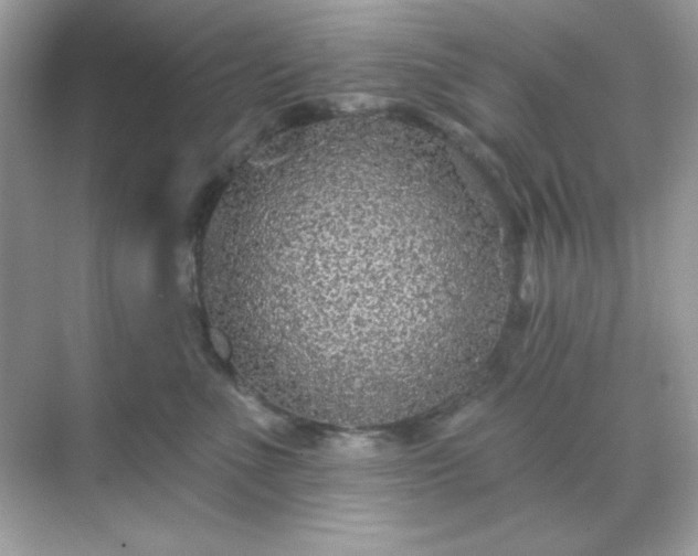 X0000071800523200607072055