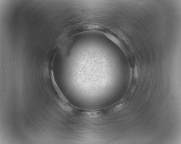 X0000071800524200607072055