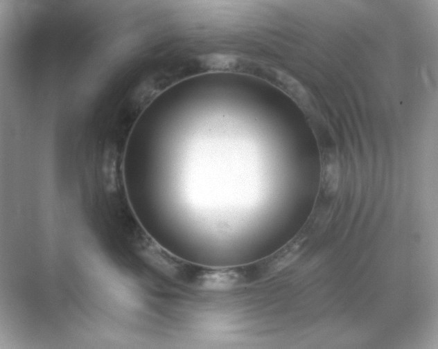 X0000071800525200607072055