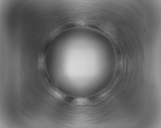 X0000071800526200607072055