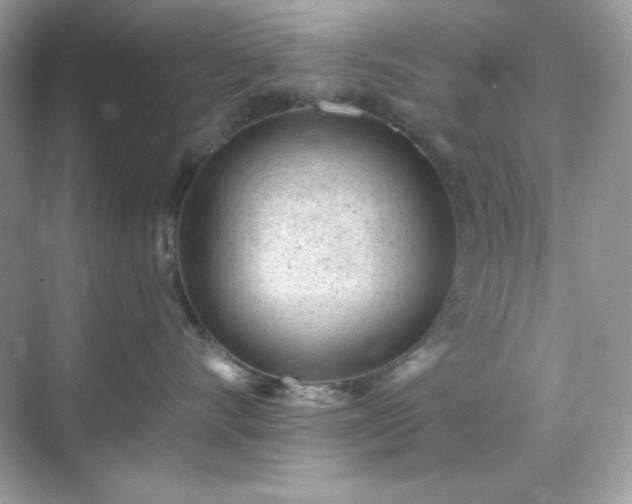 X0000071800528200607072055