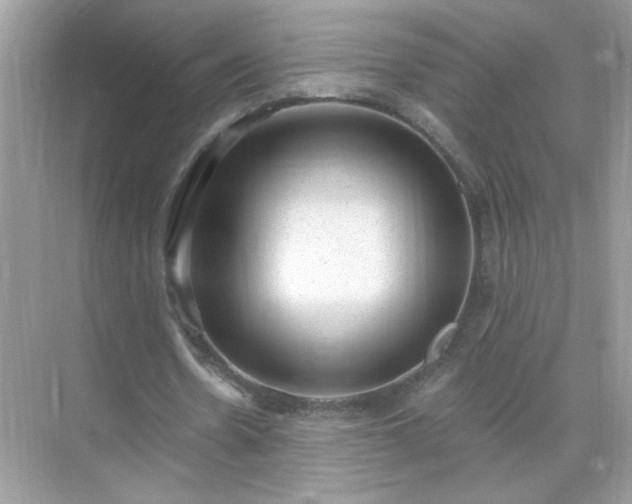 X0000071800530200607072054