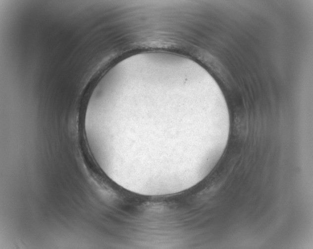 X0000071800534200607072054