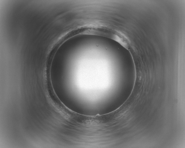 X0000071800535200607072054