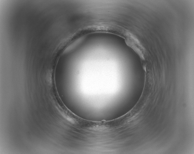 X0000071800537200607072054