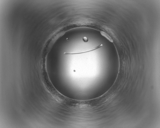 X0000071800539200607072054