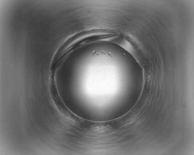 X0000071800540200607072054